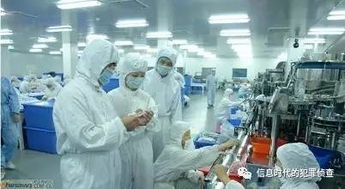 从文物盗窃案看文化经纪人的专业价值与社会责任